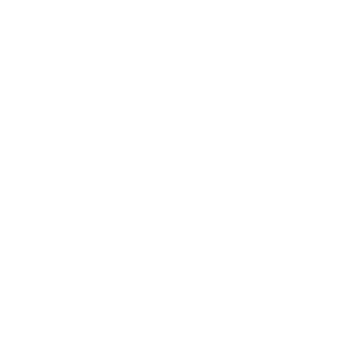 Professional roofing team